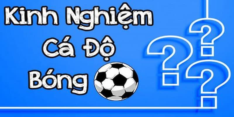 Kinh nghiệm chơi cá độ bóng đá