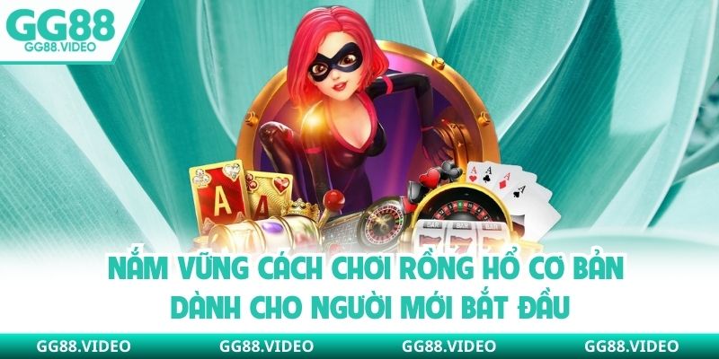 Nắm vững cách chơi rồng hổ cơ bản dành cho người mới bắt đầu